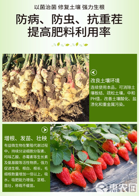 土傳病克星 復合微生物菌劑的研發(fā)與應用